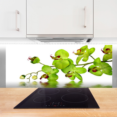 Keuken achterwand Bloemen plantaardige aard