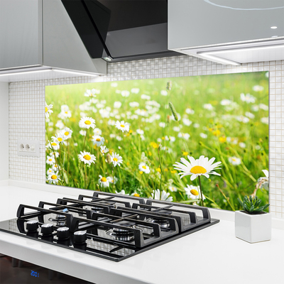 Keuken achterwand Weide. Daisy natuur