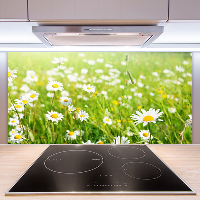 Keuken achterwand Weide. Daisy natuur