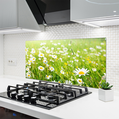 Keuken achterwand Weide. Daisy natuur