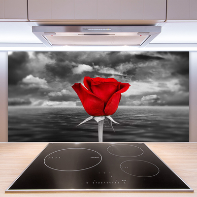Keuken achterwand Rose flower plant sea