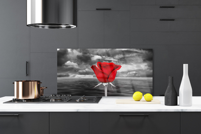 Keuken achterwand Rose flower plant sea