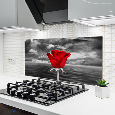 Keuken achterwand Rose flower plant sea