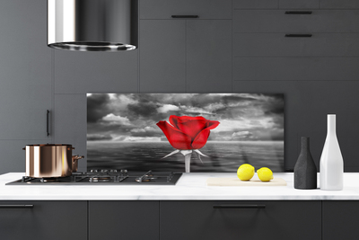 Keuken achterwand Rose flower plant sea