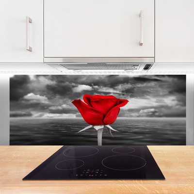 Keuken achterwand Rose flower plant sea
