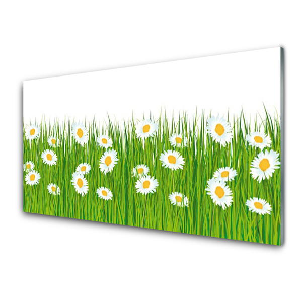 Keuken achterwand Gras daisy nature