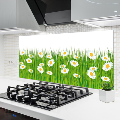 Keuken achterwand Gras daisy nature