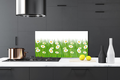 Keuken achterwand Gras daisy nature