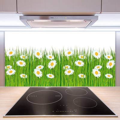 Keuken achterwand Gras daisy nature