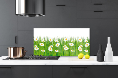 Keuken achterwand Gras daisy nature