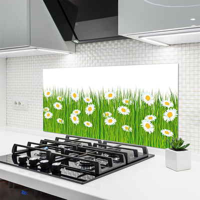 Keuken achterwand Gras daisy nature