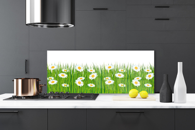 Keuken achterwand Gras daisy nature