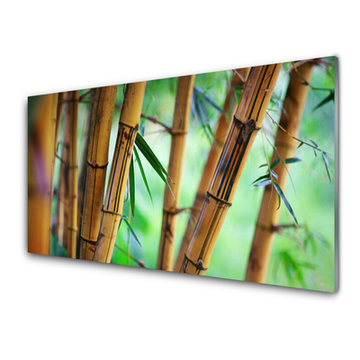 Keuken achterwand Bamboe natuurplant