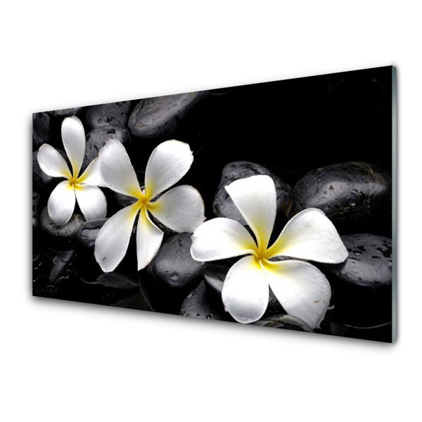 Keuken achterwand Bloem van een plumeria plant