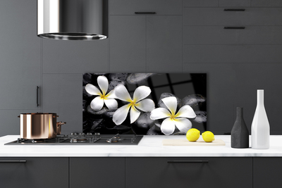 Keuken achterwand Bloem van een plumeria plant