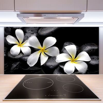 Keuken achterwand Bloem van een plumeria plant