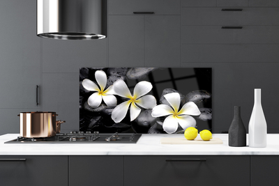 Keuken achterwand Bloem van een plumeria plant