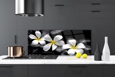 Keuken achterwand Bloem van een plumeria plant