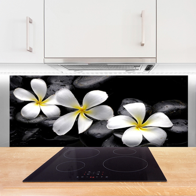 Keuken achterwand Bloem van een plumeria plant