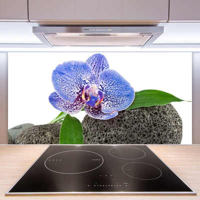 Keuken achterwand glas met print Bloem plantaard