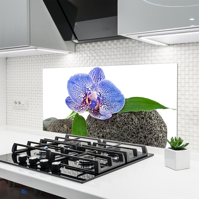 Keuken achterwand glas met print Bloem plantaard