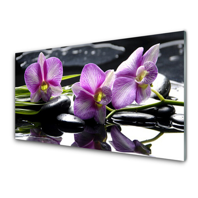 Keuken achterwand glas met print Orchideebloemplant