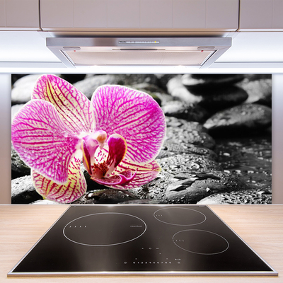 Keuken achterwand glas met print Bloem van orchideeënstenen