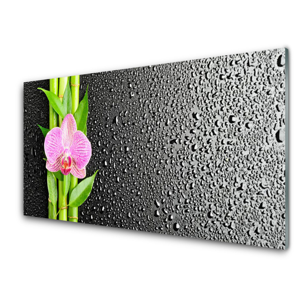 Keuken achterwand glas met print Bamboe stem flower plant