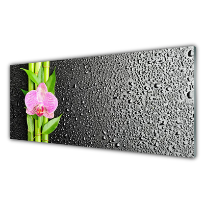 Keuken achterwand glas met print Bamboe stem flower plant