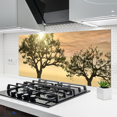 Keuken achterwand glas met print Bomen natuur