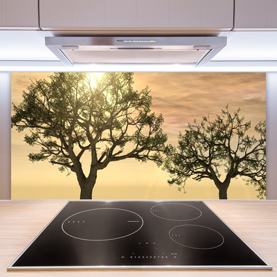 Keuken achterwand glas met print Bomen natuur