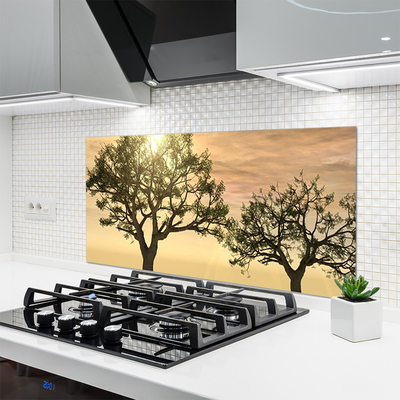 Keuken achterwand glas met print Bomen natuur