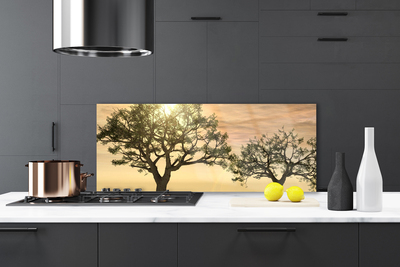 Keuken achterwand glas met print Bomen natuur