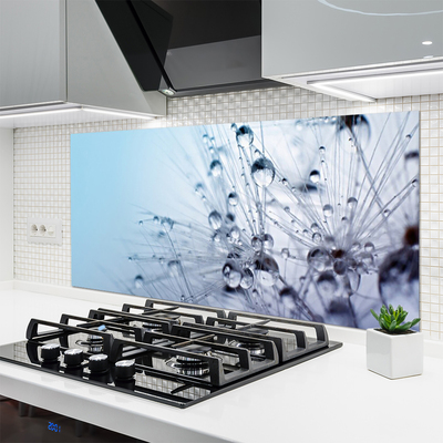 Keuken achterwand glas met print Paardebloemplant