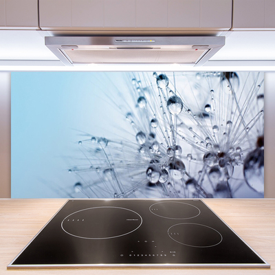 Keuken achterwand glas met print Paardebloemplant