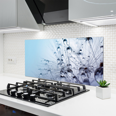 Keuken achterwand glas met print Paardebloemplant