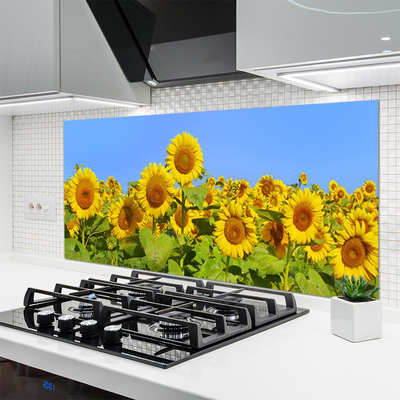 Keuken achterwand glas met print Zonnebloem bloem plant