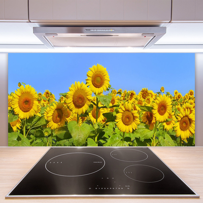 Keuken achterwand glas met print Zonnebloem bloem plant