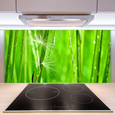 Keuken achterwand glas met print Gras plantaard
