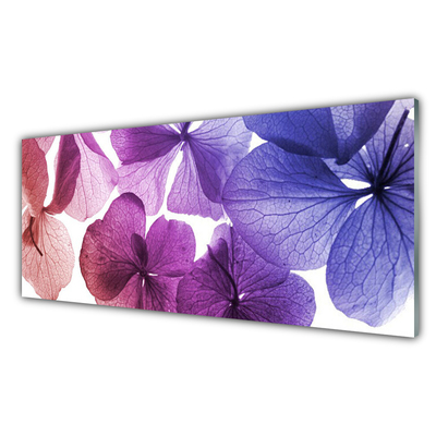 Keuken achterwand glas met print Bloemen plantaardige aard