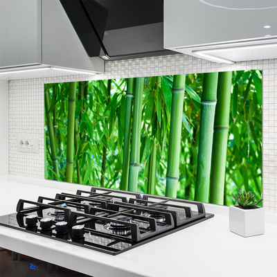 Keuken achterwand glas met print Bamboe stengel plant