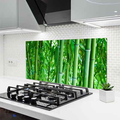 Keuken achterwand glas met print Bamboe stengel plant