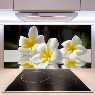 Keuken achterwand glas met print Bloemen plantaardige aard