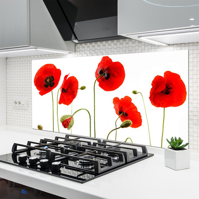 Keuken achterwand glas met print Maki plant nature