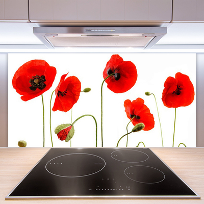 Keuken achterwand glas met print Maki plant nature