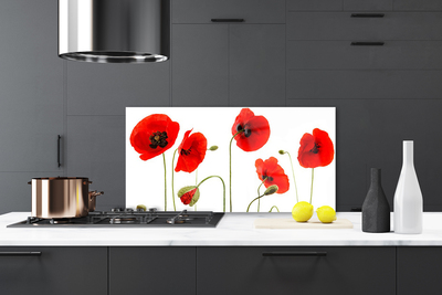 Keuken achterwand glas met print Maki plant nature