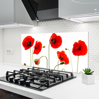 Keuken achterwand glas met print Maki plant nature