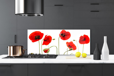 Keuken achterwand glas met print Maki plant nature