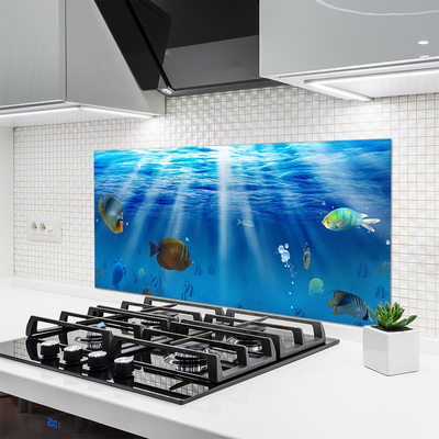 Keuken achterwand glas met print Visaard