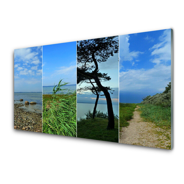 Keuken achterwand glas met print Strandboomlandschap